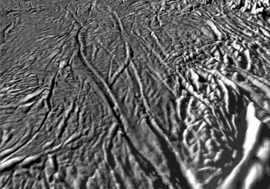 tiger-stripes