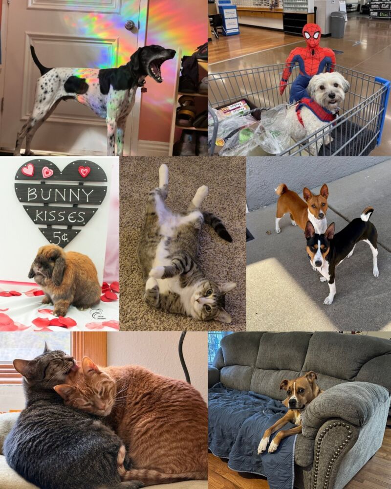 Image for the Tweet beginning: Blessing your feed with some